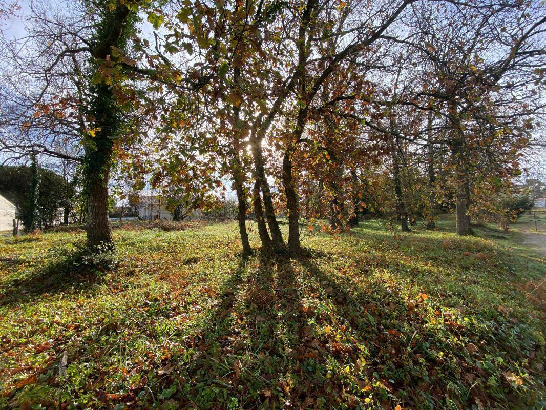 Terrain à LES MATHES