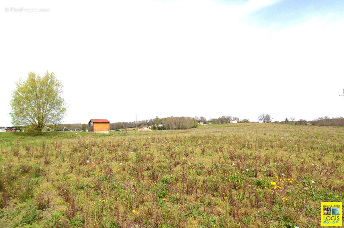 Terrain à RAMOUS