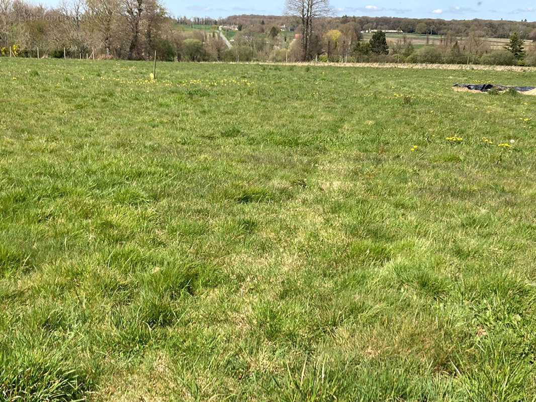 Terrain à LE CROUAIS