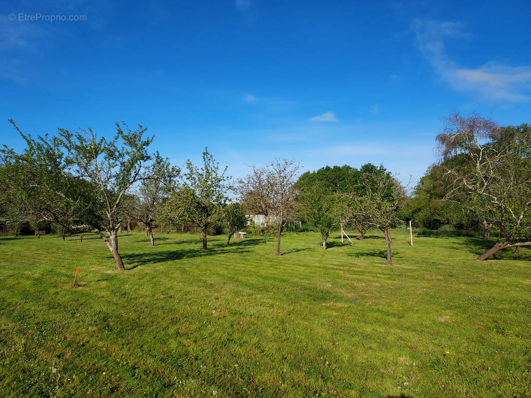 Terrain à SAINT-GILDAS-DES-BOIS