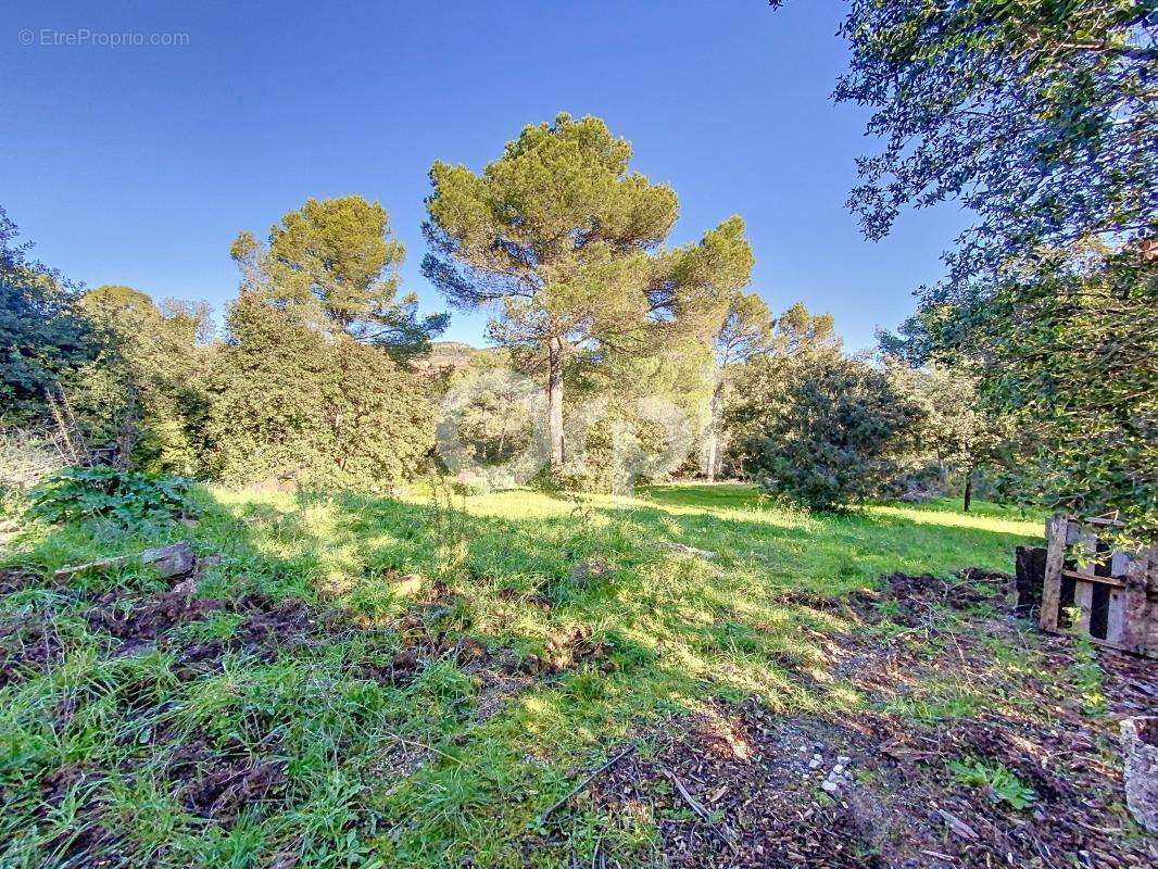 Maison à ROQUEBRUNE-SUR-ARGENS