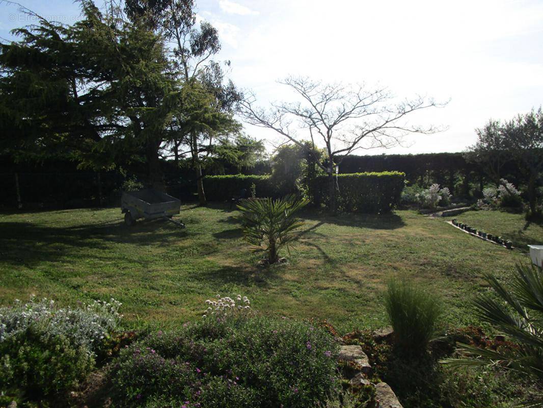 Terrain à LONGEVILLE-SUR-MER