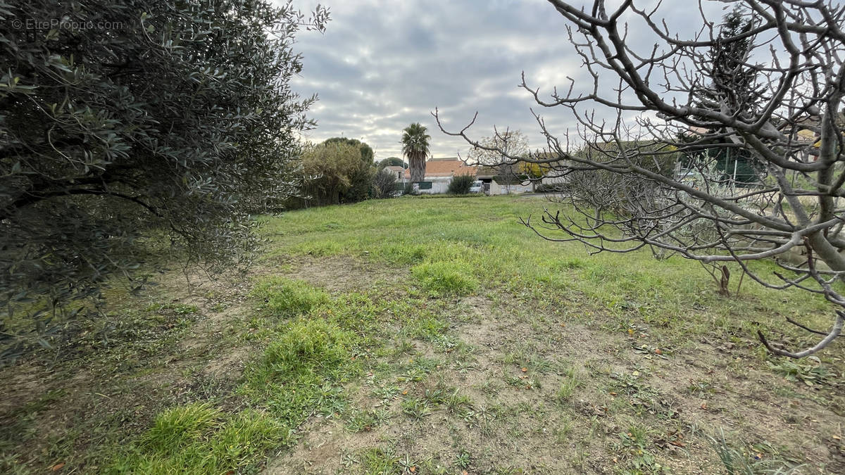 Terrain à BAILLARGUES