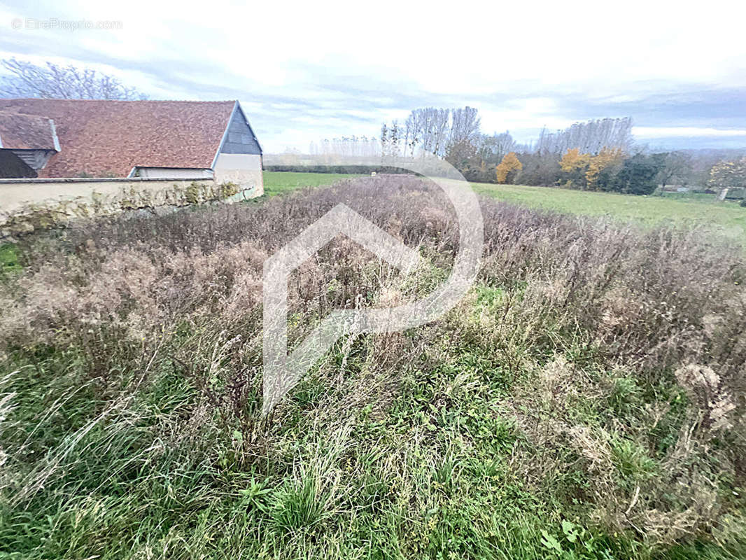 Terrain à LONGUEVILLE-SUR-AUBE