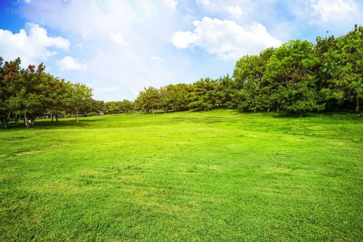 Terrain à BEAUFOU