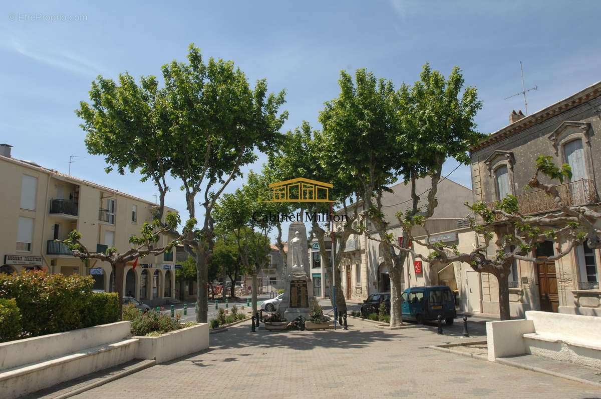 Commerce à VILLENEUVE-LES-MAGUELONE