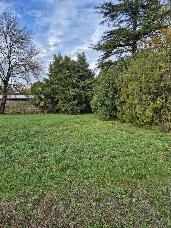 Terrain à JARNAC