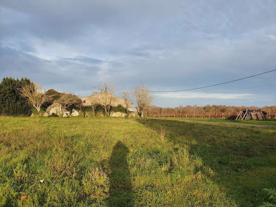 Terrain à THAIMS