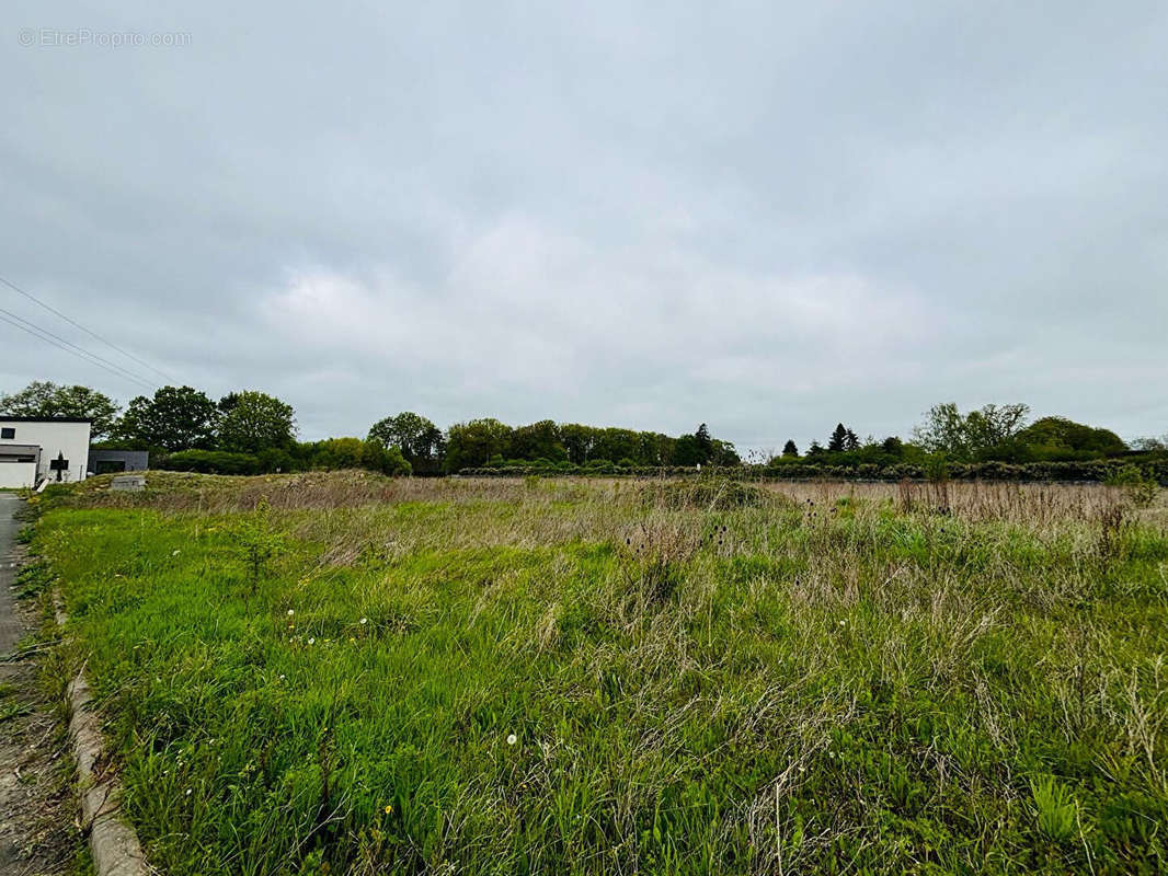 Terrain à LA MEMBROLLE-SUR-CHOISILLE