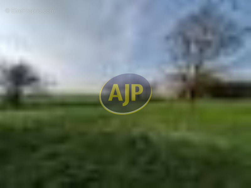 Terrain à LOIRE-LES-MARAIS