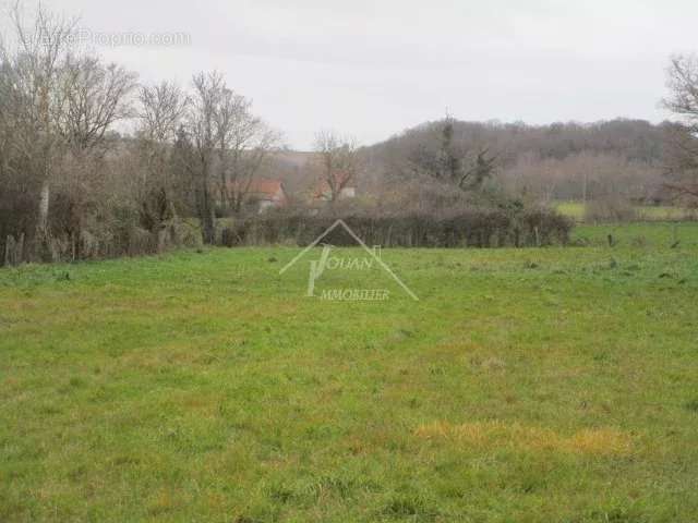 Terrain à SAINT-GERAND-LE-PUY