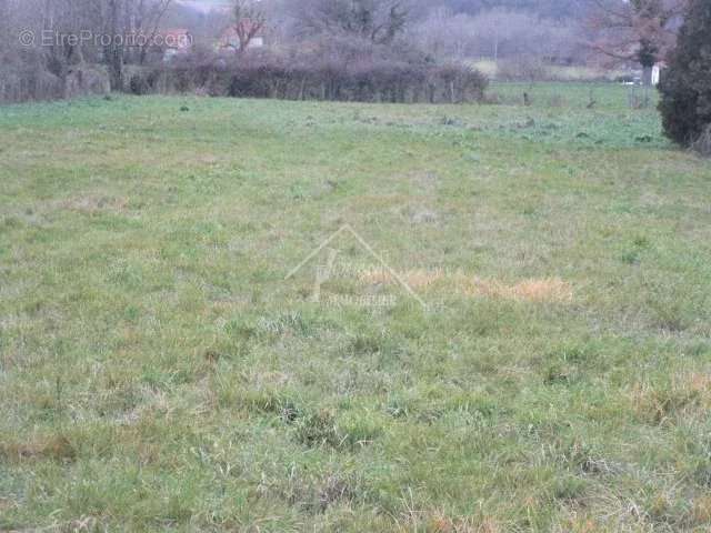 Terrain à SAINT-GERAND-LE-PUY