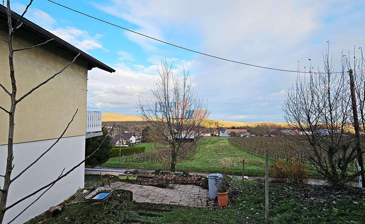 Maison à BERGHOLTZZELL