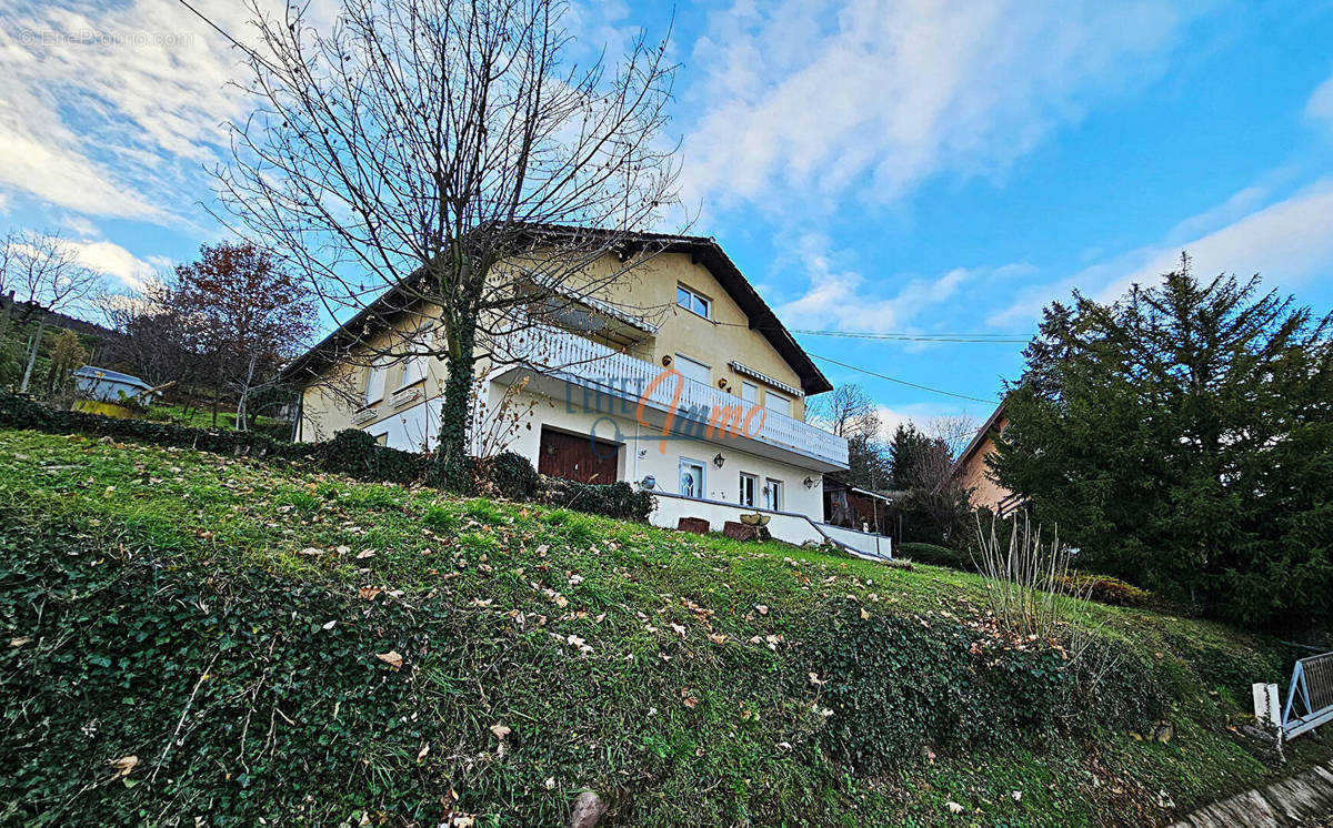 Maison à BERGHOLTZZELL