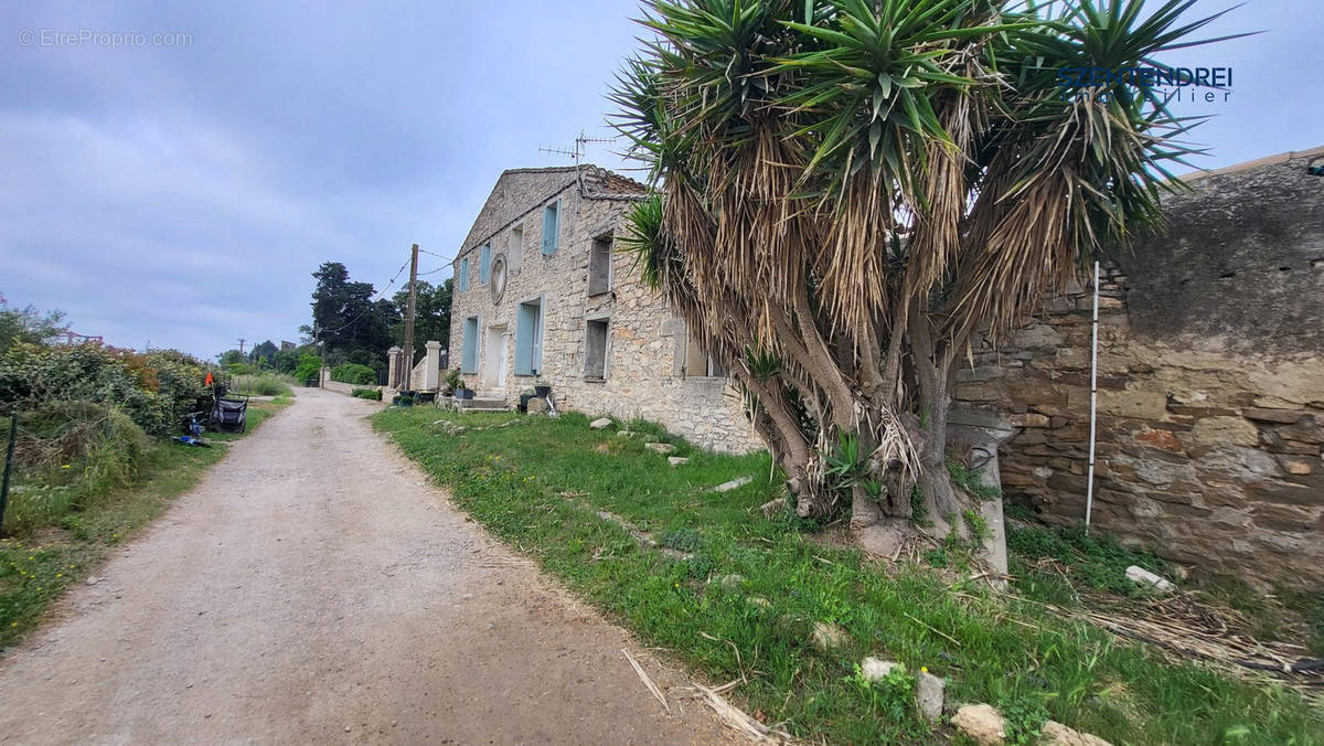 Appartement à SAINT-NAZAIRE-DE-PEZAN