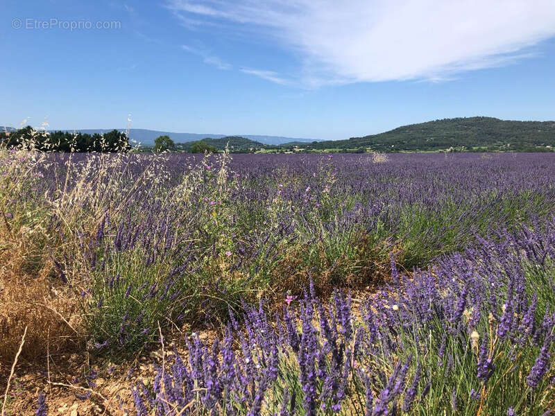 Terrain à RUSTREL