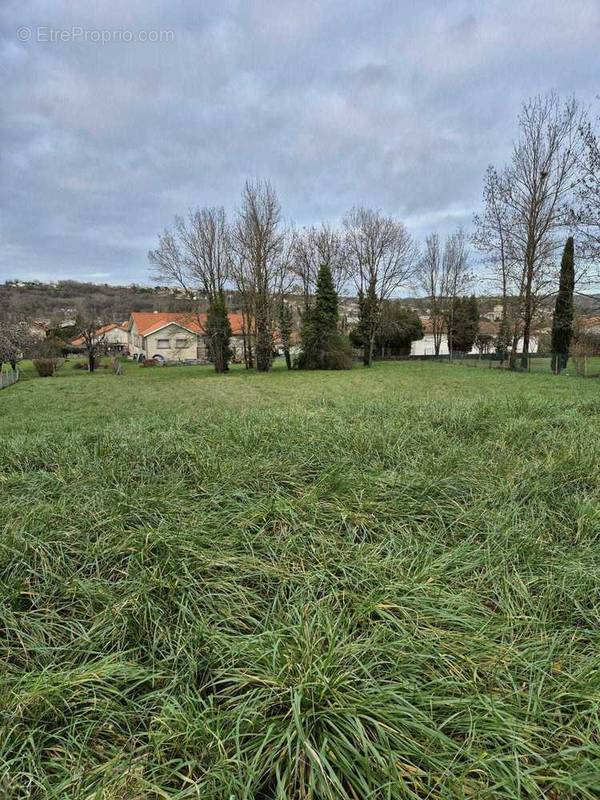 Terrain à RUELLE-SUR-TOUVRE