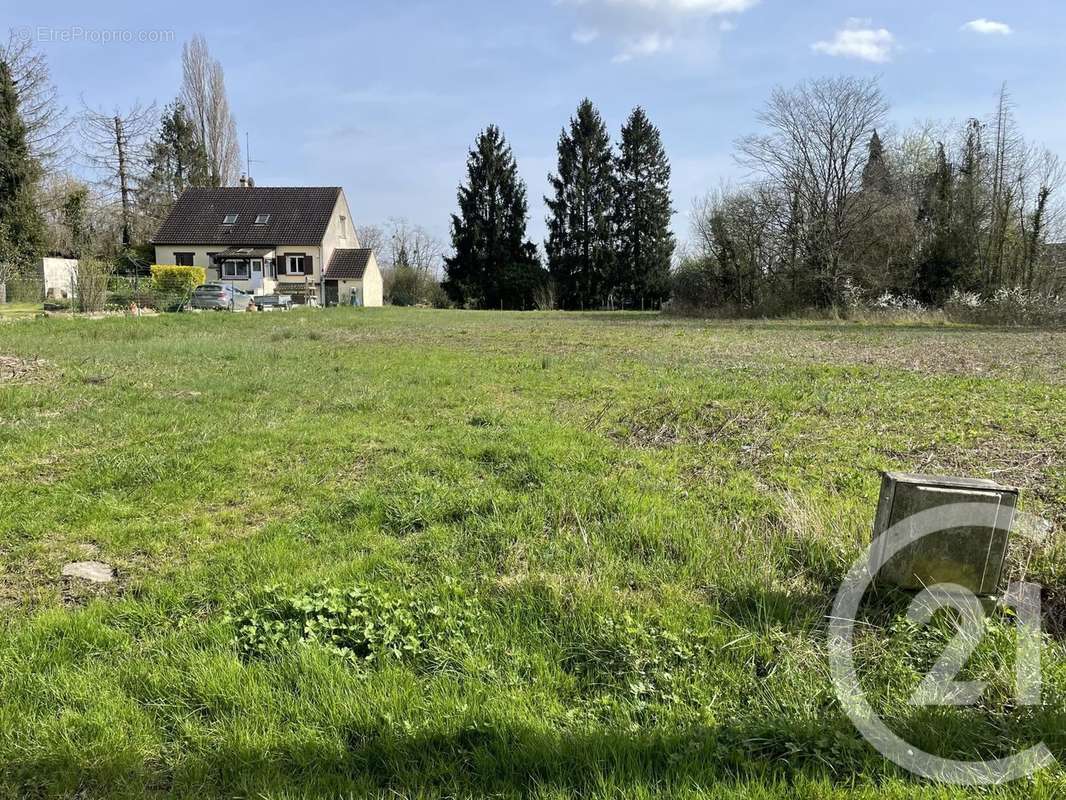 Terrain à LES BORDES