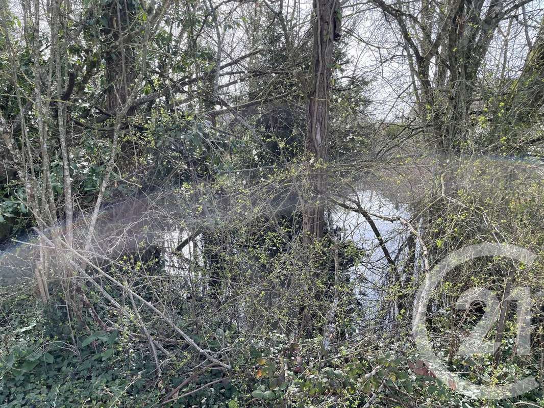 Terrain à LES BORDES