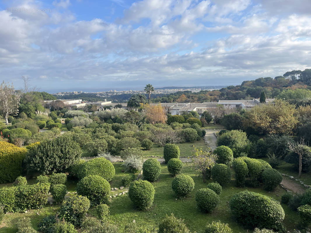 Appartement à VALLAURIS