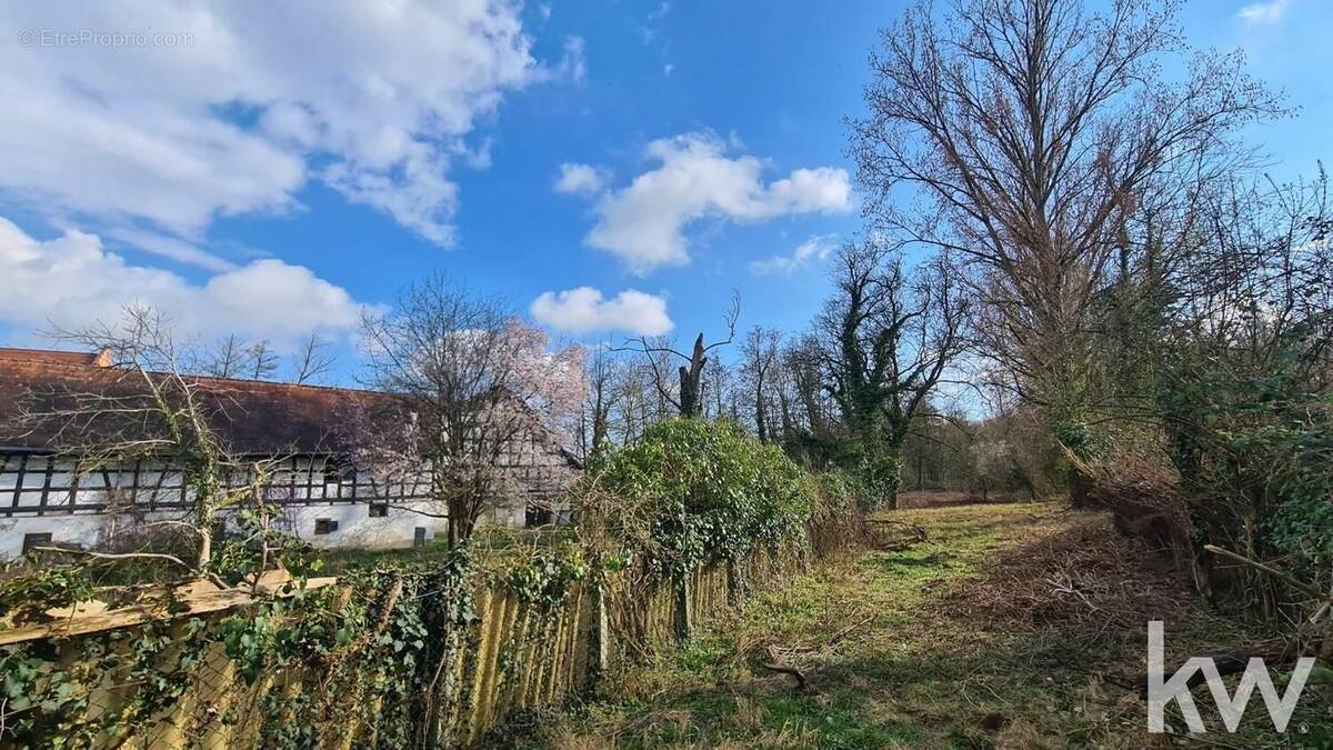 Terrain à ACHENHEIM