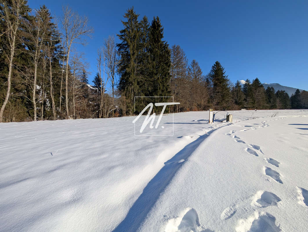 Maison à MONTRIOND