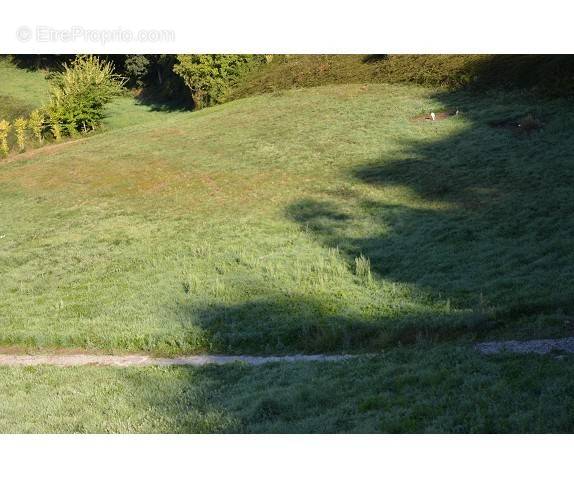 Terrain à LA BASTIDE-SOLAGES