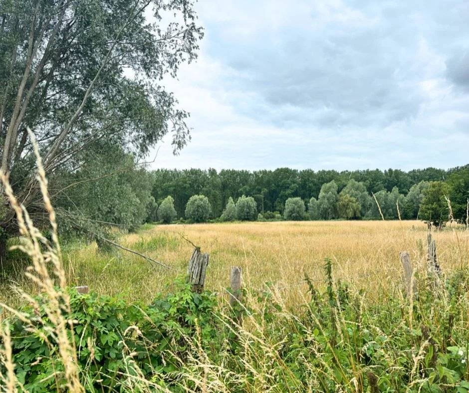 Terrain à FLINES-LEZ-RACHES