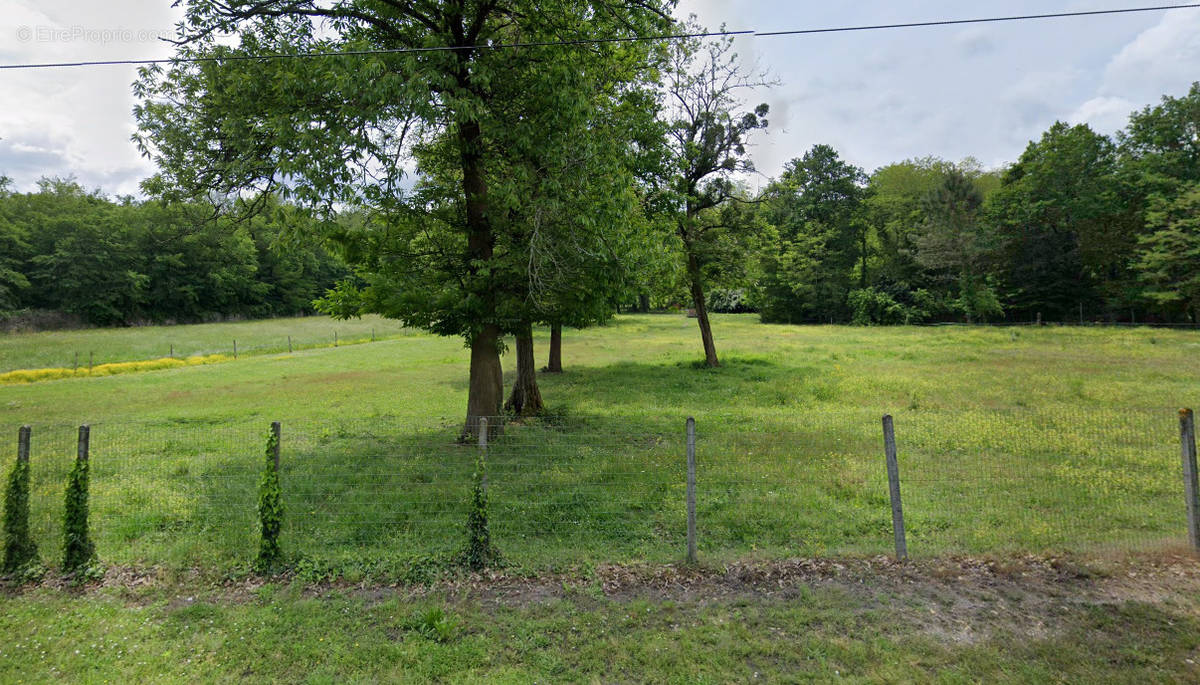 Terrain à SAINT-SELVE