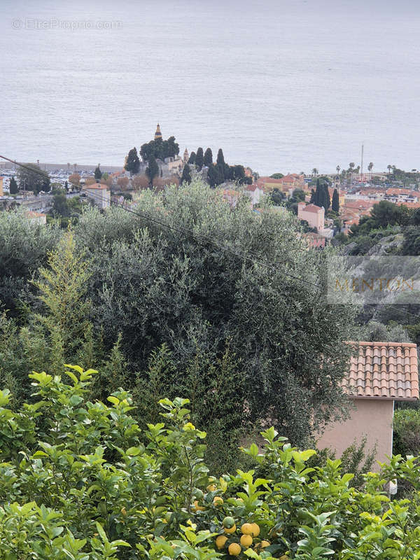 Appartement à MENTON