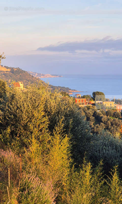 Appartement à MENTON