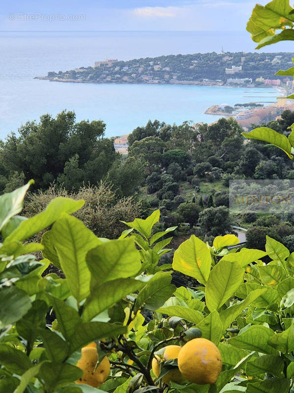 Appartement à MENTON