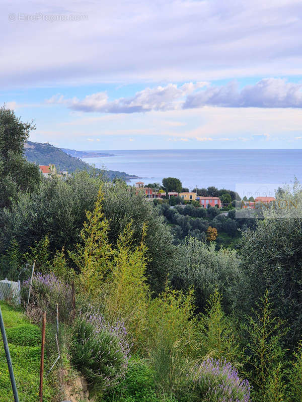 Appartement à MENTON