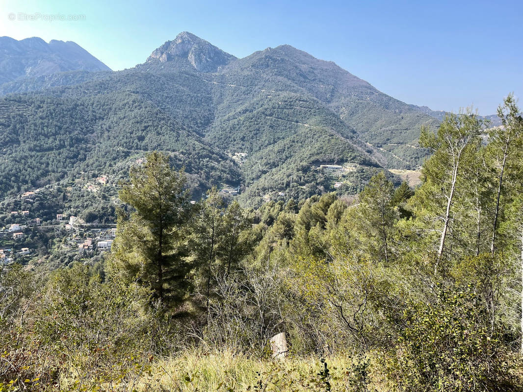 Terrain à CASTELLAR