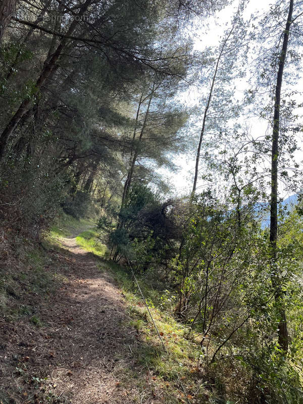 Terrain à CASTELLAR