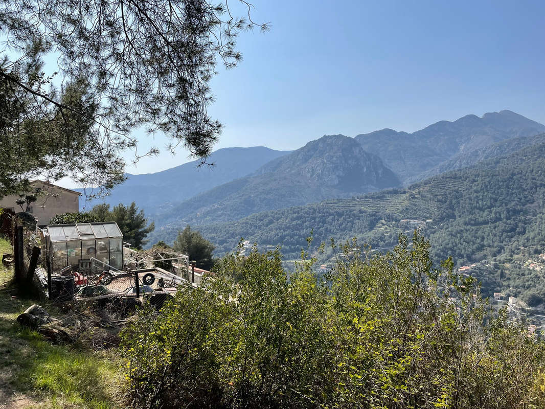 Terrain à CASTELLAR