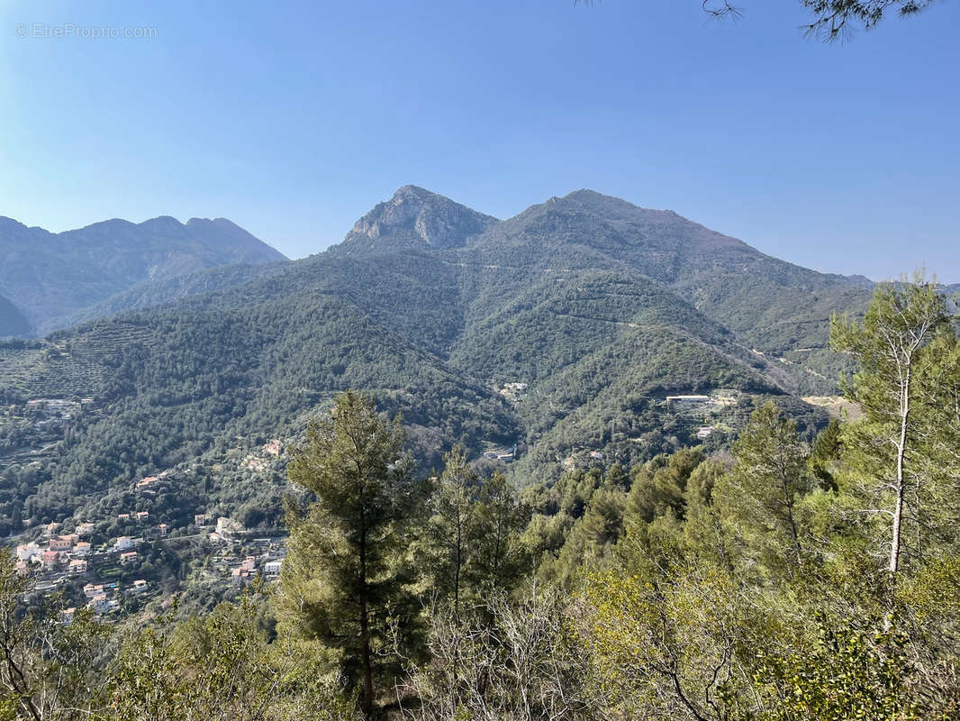 Terrain à CASTELLAR