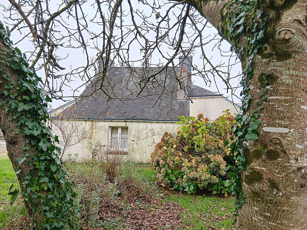 Maison à SAINTE-ANNE-D&#039;AURAY