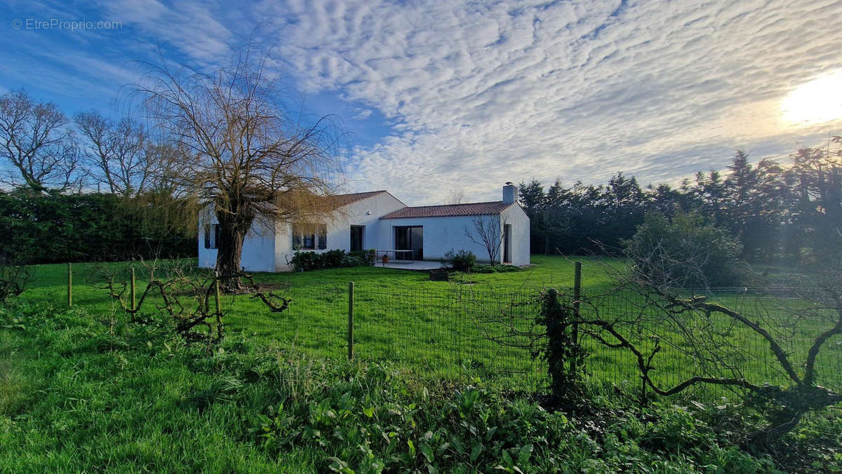 Maison à CHATEAUNEUF