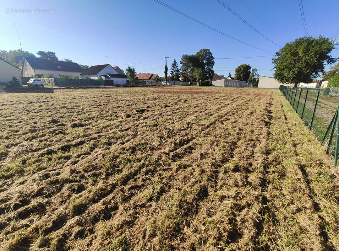 Terrain à SAINT-LAURENT-NOUAN