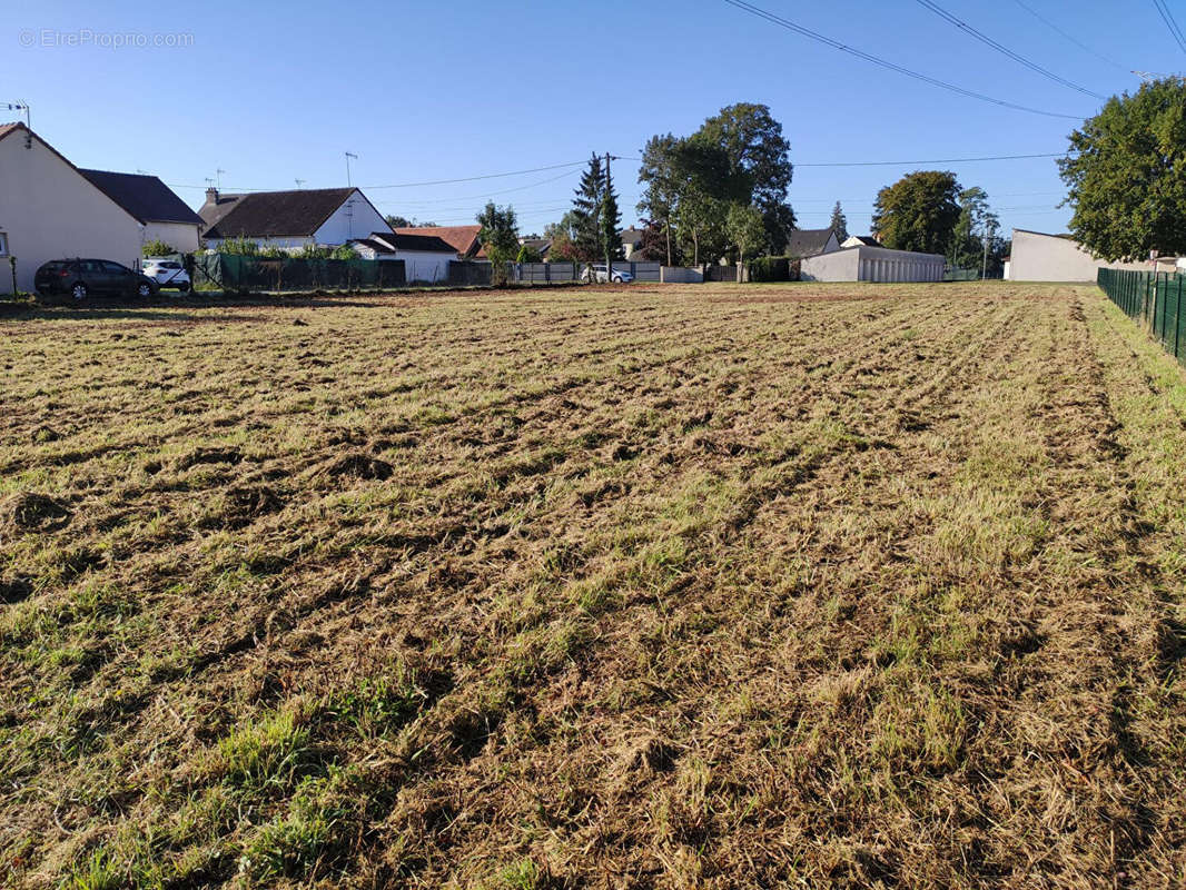 Terrain à SAINT-LAURENT-NOUAN