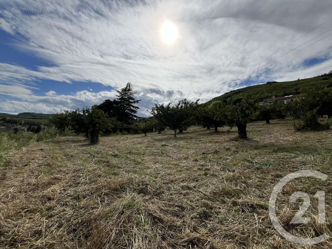 Terrain à SAINT-DESIRAT