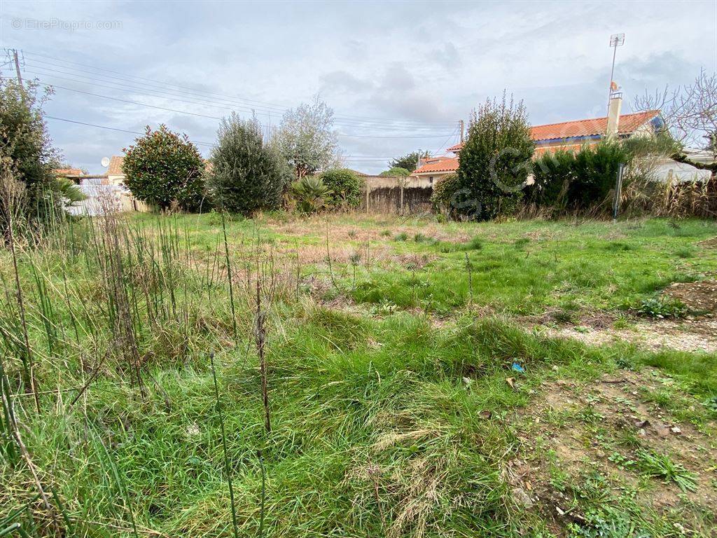 Terrain à BRETIGNOLLES-SUR-MER