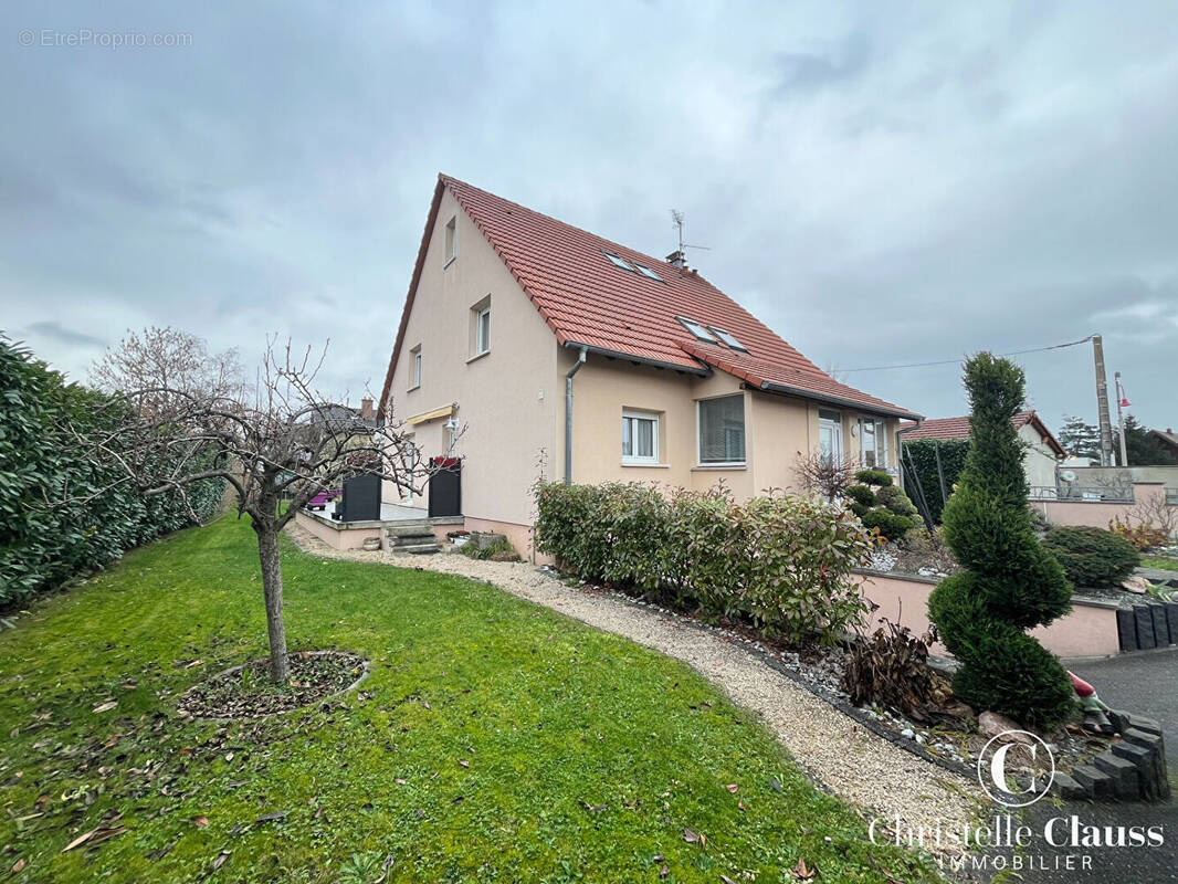 Maison à SAINTE-CROIX-EN-PLAINE