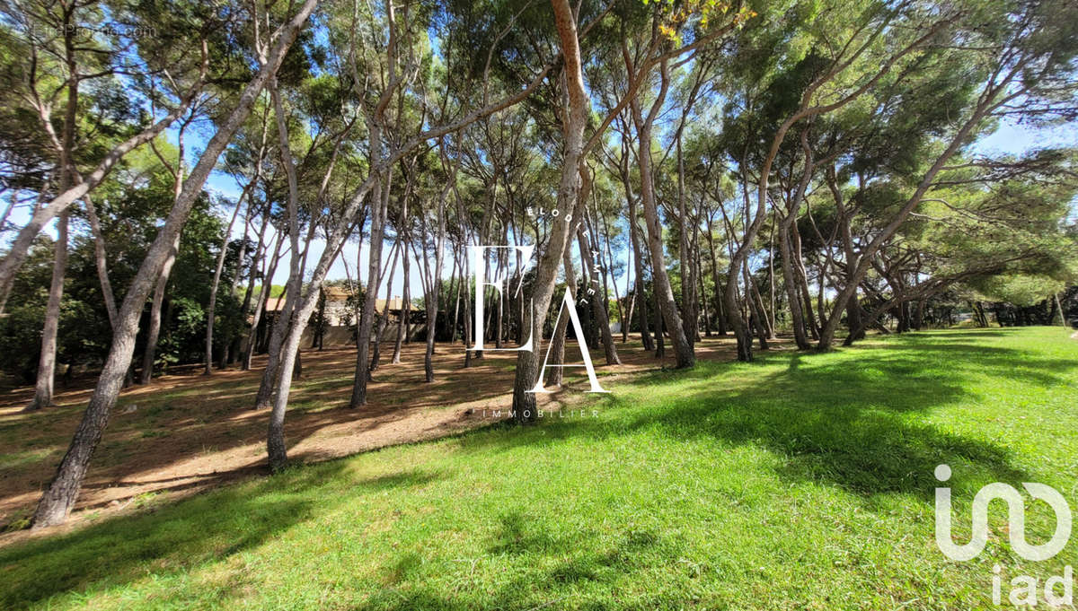 Photo 7 - Appartement à SIX-FOURS-LES-PLAGES