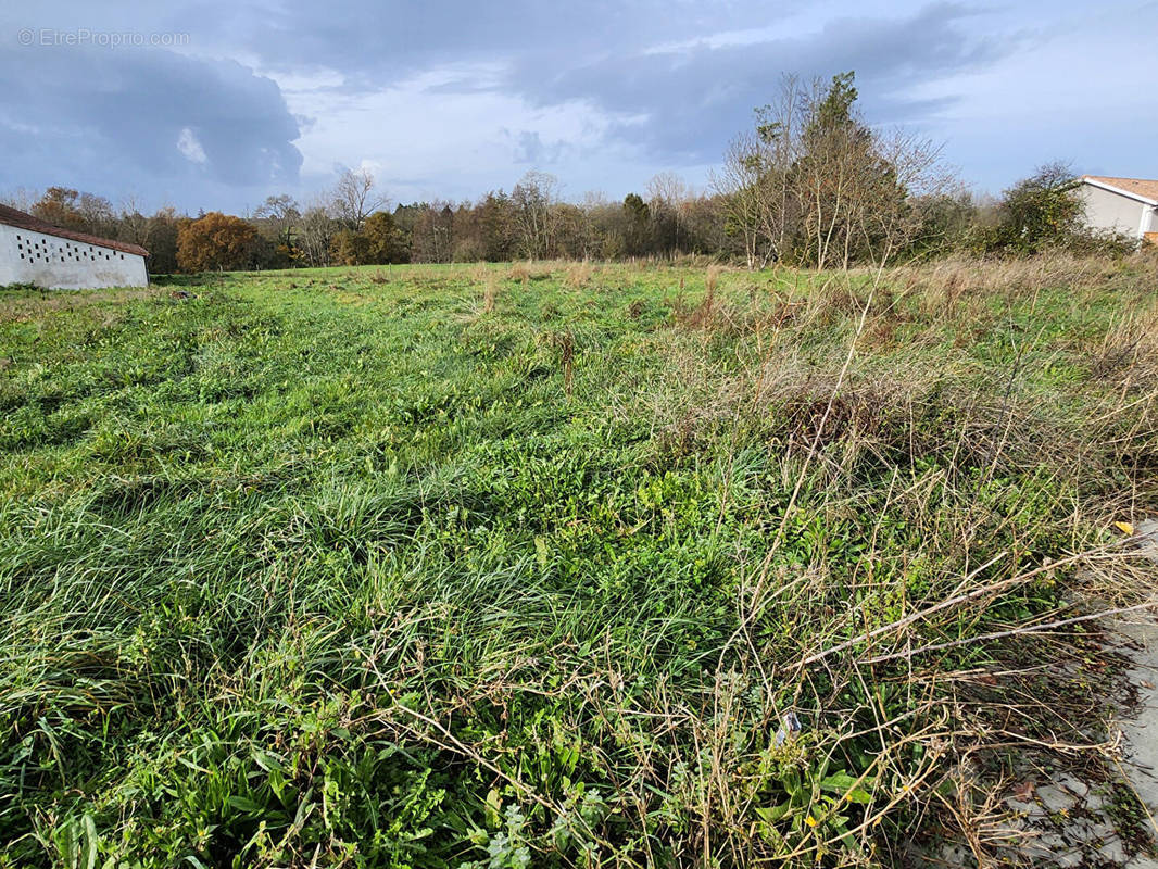 Terrain à SAINT-CAPRAIS-DE-BLAYE