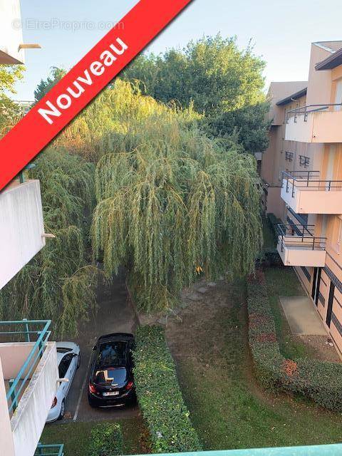   - Appartement à TOULOUSE