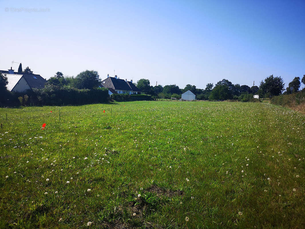 Terrain à LE VAL-SAINT-PERE