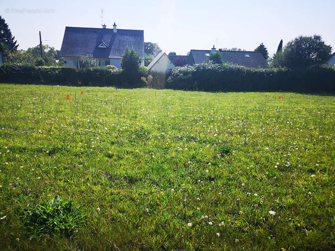 Terrain à LE VAL-SAINT-PERE