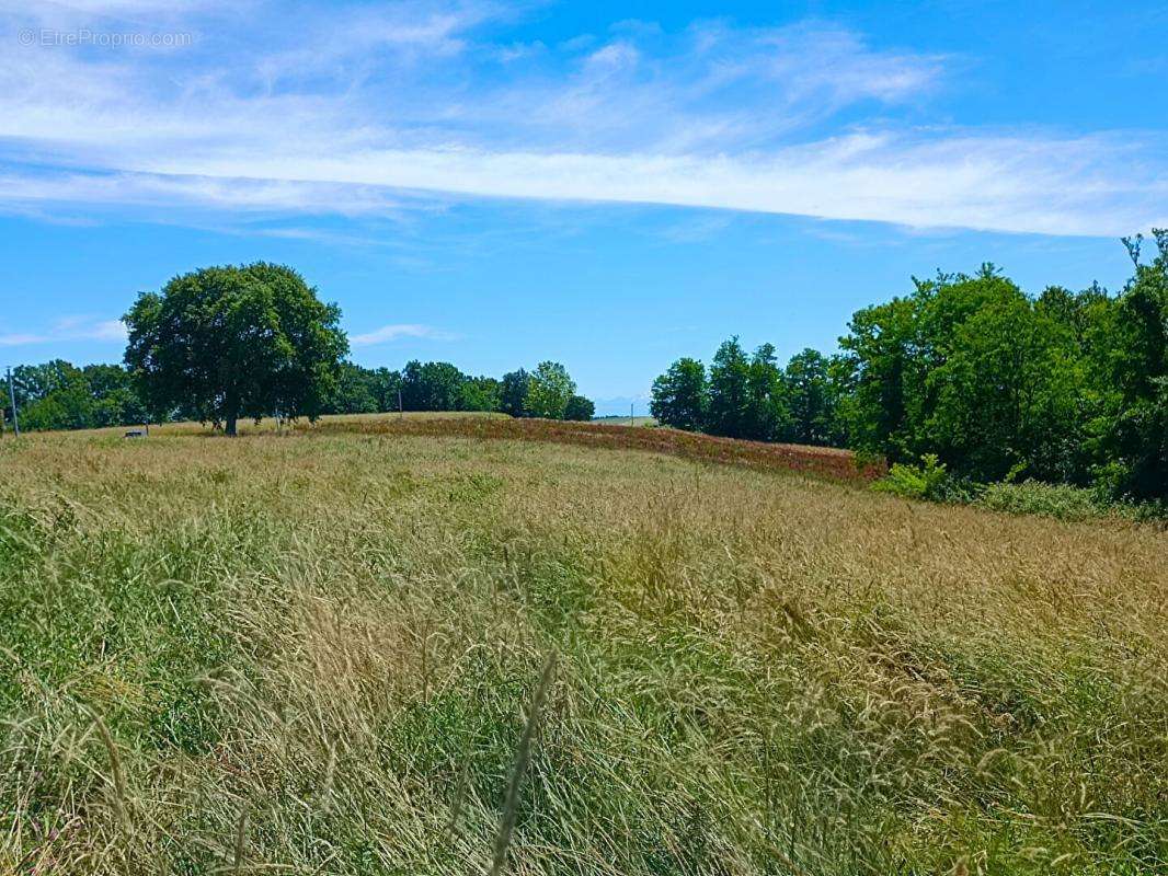 Terrain à BIDACHE